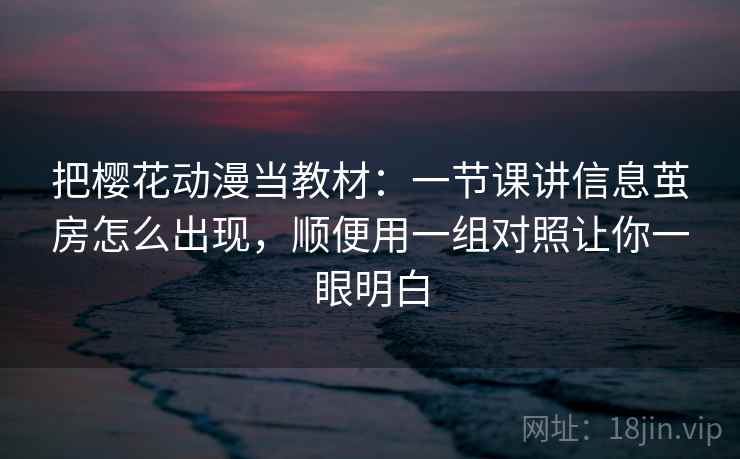 把樱花动漫当教材：一节课讲信息茧房怎么出现，顺便用一组对照让你一眼明白